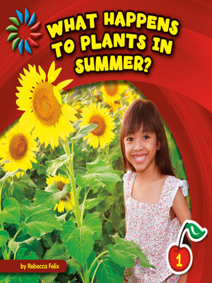 cover image of What Happens to Plants in Summer?